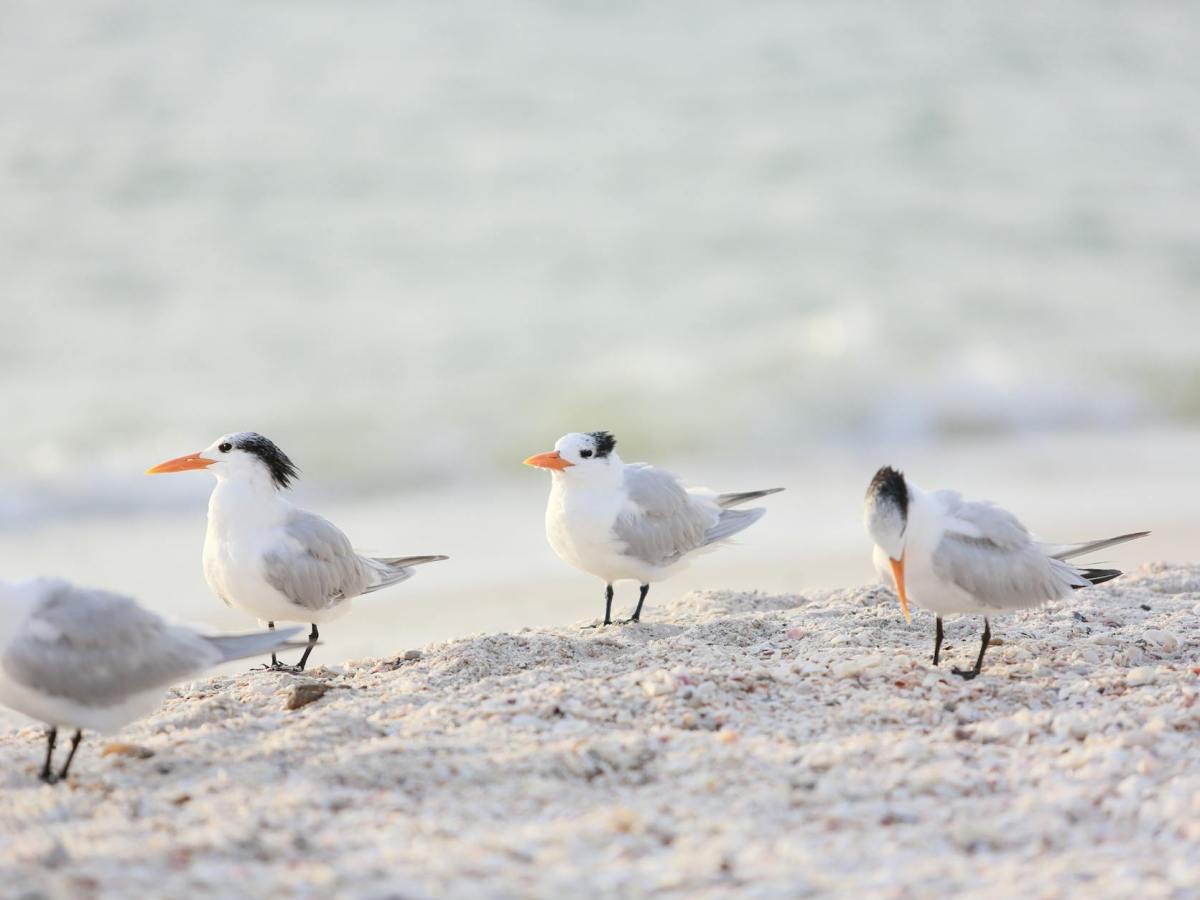 Why I Started Writing&nbsp;Poetry