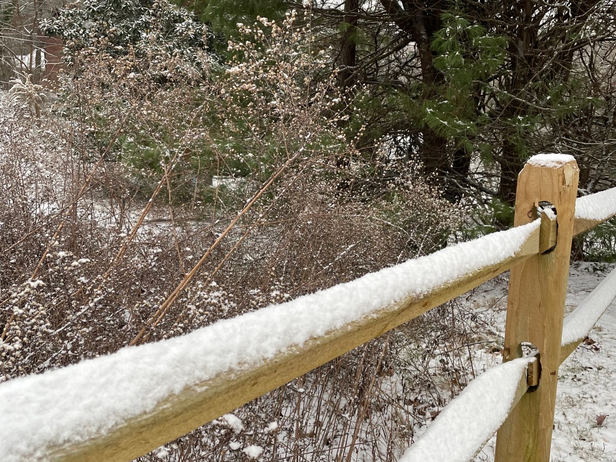 Coddiwomple with Wonder