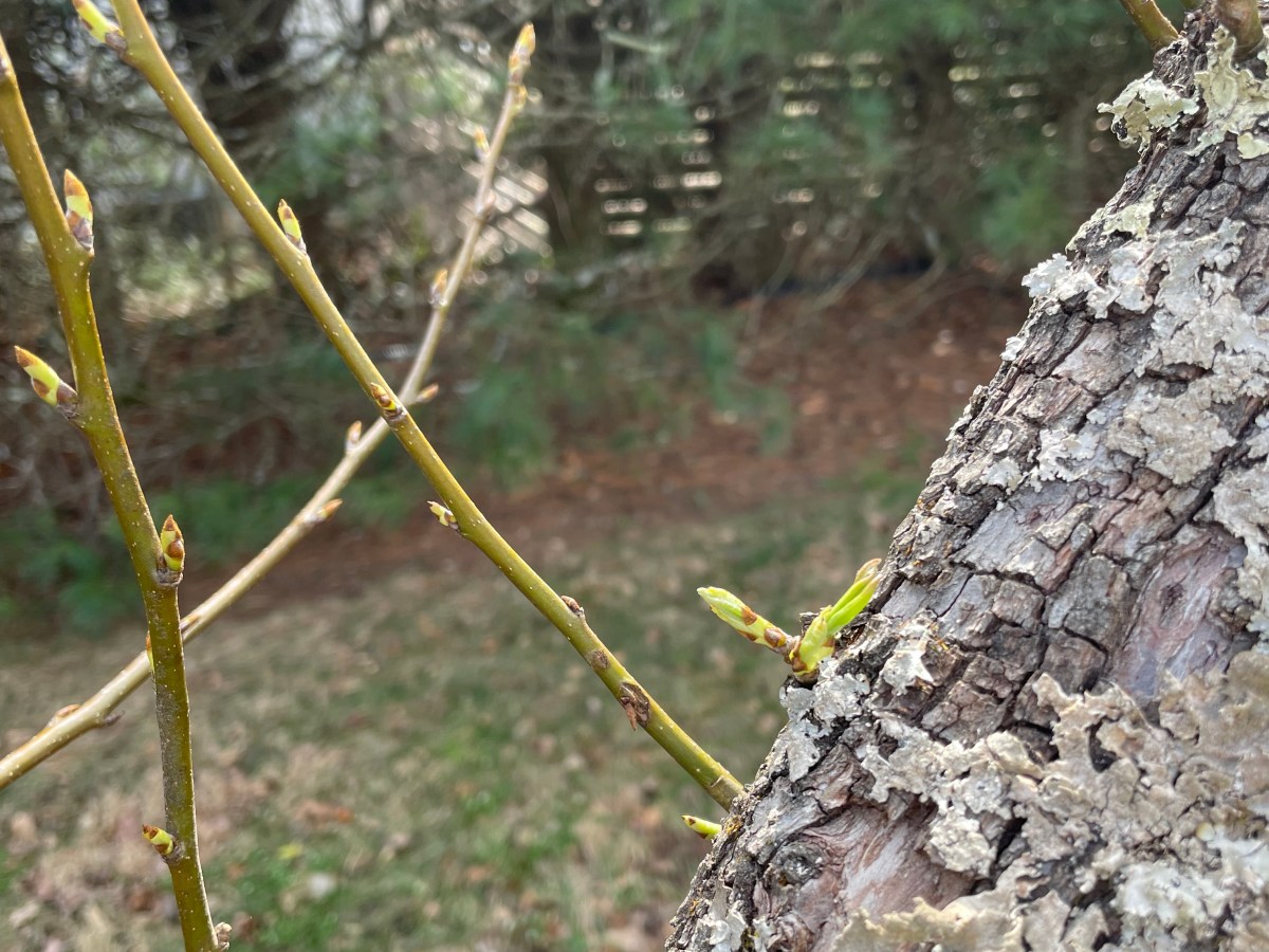 The Messy Magic of&nbsp;Spring