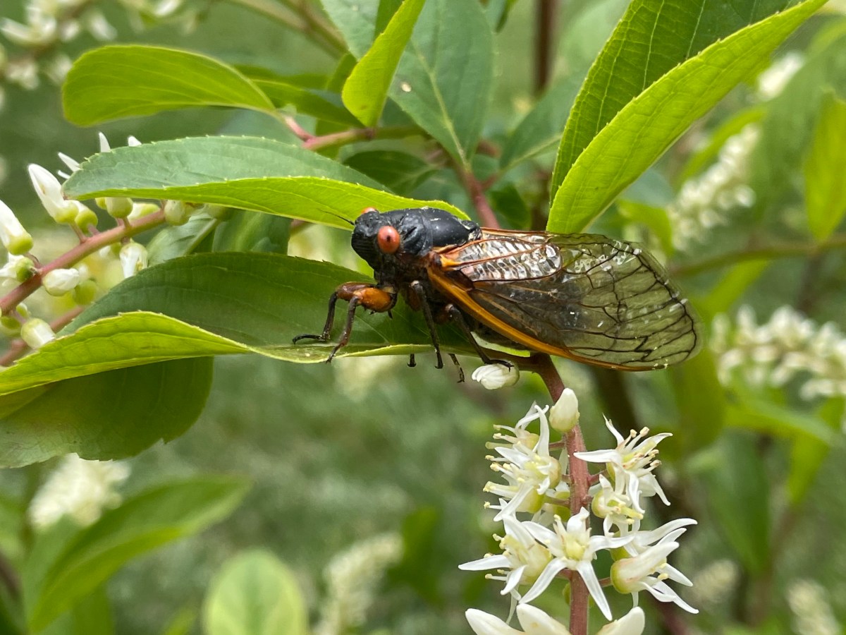 When the Path Isn’t&nbsp;Clear